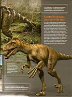 Les couleurs des dinosaures, Science & Vie 1113, 2010-06 (06)